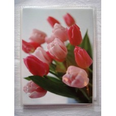 10*15/36 4636 (м"які)(24)(216) 10*15/36 4636 (м"які)(24)(216)