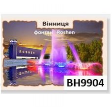 3D магнит 6*9 см (Винница, Фонтан Roshen, горизонтальный)(10)