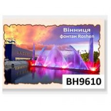 3D магнит 6*9 см (Винница, Фонтан Roshen, горизонтальный)(10)