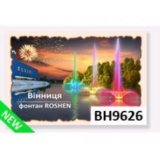 3D магнит 6*9 см (Винница, Фонтан Roshen, горизонтальный)(10)